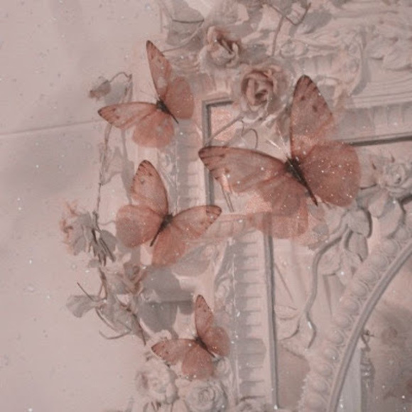 Meet your Posher, Aubrey - Picture 1 of 1